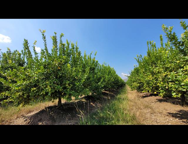 20HA FARM FOR SALE IN NELSPRUIT RURAL